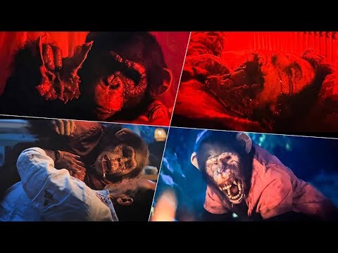 All Deaths COUNTS & SCENES in PRIMATE 2026