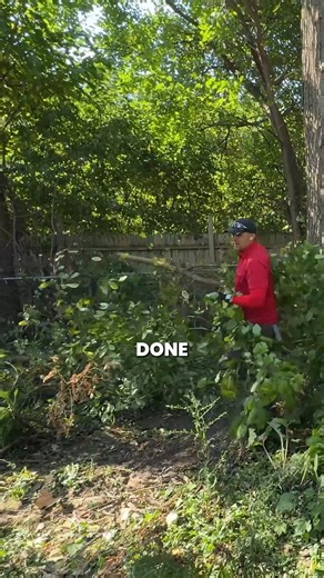 Power company did their job. Barely. Left behind fallen trees, overgrowth, and a backyard the grandkids couldn't use. Let's fix it. 👇 Full transformation in the comments | Midlife Stockman