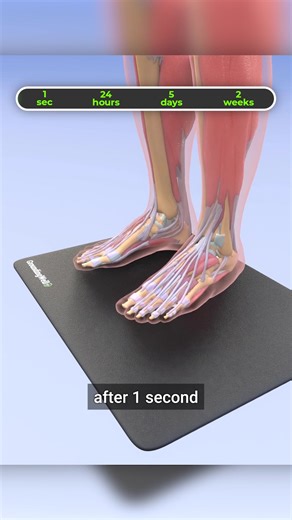 Heal your body with nature's electrons. Try grounding today 👇 - Deeper, more restful sleep - Improved mood, less stress, more mental clarity - Massively reduces inflammation - the root cause of many health issues! The GroundingWell Mat has a conductive surface with a cable that plugs into the "ground" port of your power outlet, allowing you to stay connected to the earth's healing energies 24/7. Get yours at 👉 https://www.groundingwell.com/products/groundingwell-mat | GroundingWell
