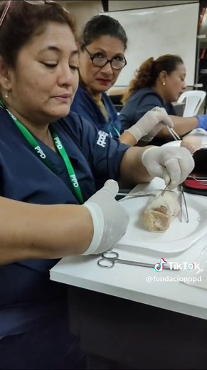 Aprende Enfermería Gratis Online con Certificado