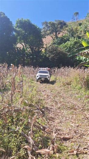 #ลูกชายสุดหล่อ#ทราโว่ใหม่