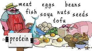 KS4 Design and Technology: Food Groups and the Eatwell Guide