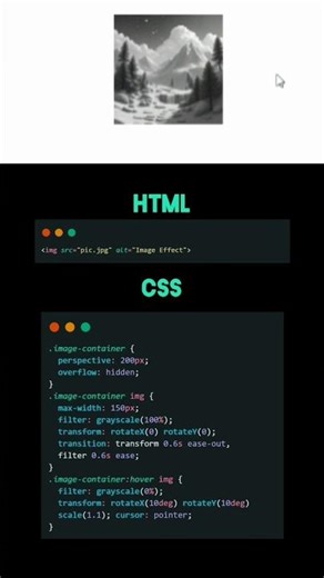 The Most Impressive CSS Image Hover Effects