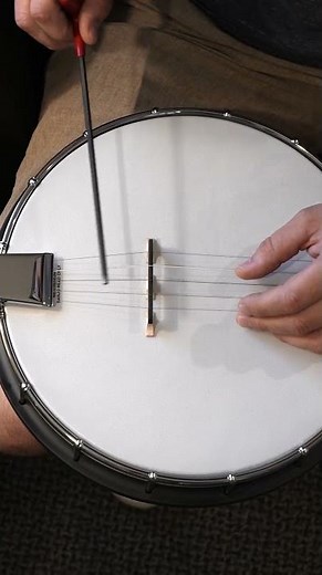 The AC-1 Banjo: a great beginner banjo or hammered dulcimer | Gold Tone