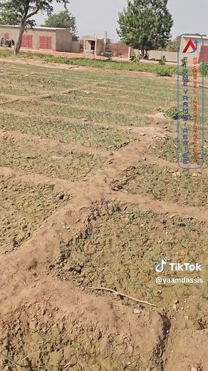 Avantages de la Pisciculture Intégrée pour l'Agriculture