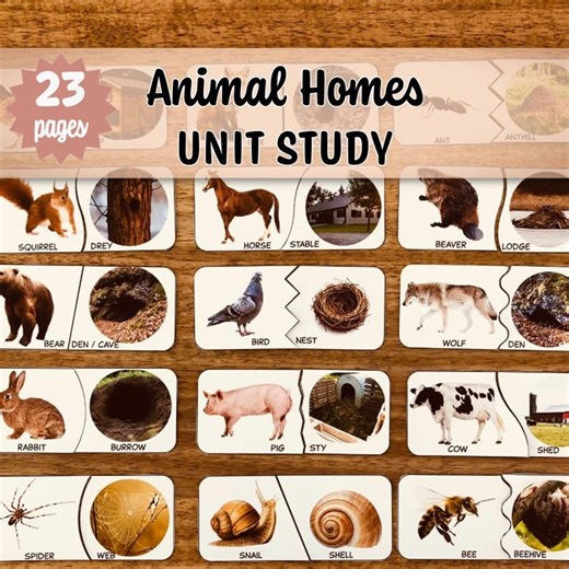ANIMAL HOMES Unit Study | Nature Study | Montessori-inspired | Animal Homes Activity Cards - Etsy