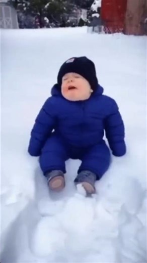 This Dancing Cactus Can’t Stop Singing 🌵🎶😂 | Funniest Cactus Toy Ever