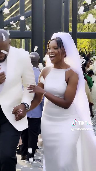 Tribe Media on TikTok