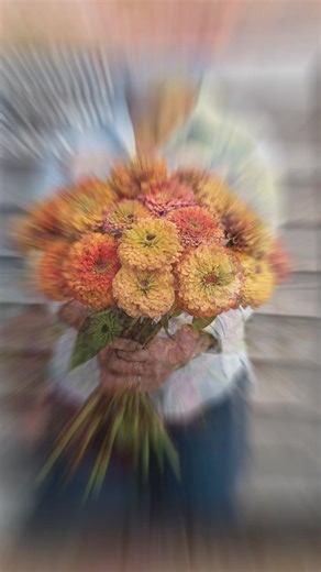 No cutting garden is complete without zinnias! Vibrant, long-lasting blooms with exceptional yield. Shop now. | Johnny's Selected Seeds