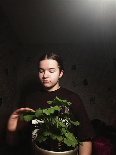 «13 оттенков цыганья🫦» (@cassandraaa_2347)’s videos with оригинальный звук - «13 оттенков цыганья🫦»