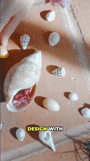 The Fish That Builds Sand Art to Attract Mates