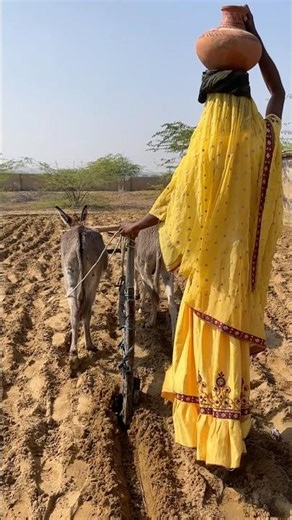 فتاة مجتهدة تعمل في الزراعة باستخدام الماء تحت أشعة الشمس الحارقة