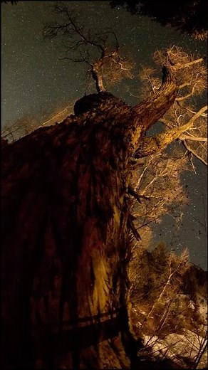 Colorado StarScape 4K | A Mesmerizing Journey Through the Night Sky