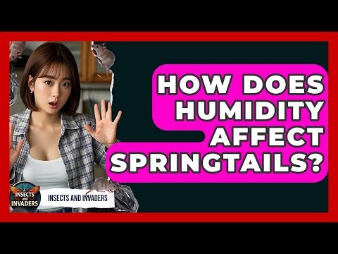 How Does Humidity Affect Springtails? - Insects and Invaders