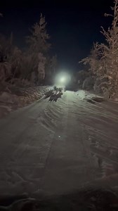 178K views · 10K reactions | Made it to Circle at 10:55 pm with all 14 dogs on the line! Everyone is taking a well deserved rest now after having eaten a good meal! They’ll be on the trail again and ready to rock it back to Central soon! Wild and Free all the way  | Wild and Free Mushing | Facebook