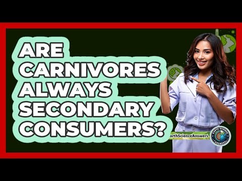 Are Carnivores Always Secondary Consumers?