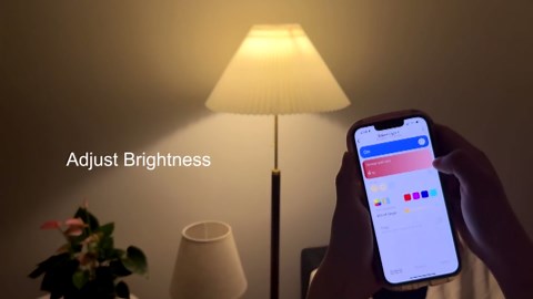 THIRDREALITY Smart Color Bulb ZL1,Zigbee hub Required,Compatible with Home Assistant(ZHA&Z2M),SmartThings,Aeotec,Homey,Hubitat or Echo Devices with Built-in Zigbee hub,A19 RGBCW Bulb,800 Lumens
