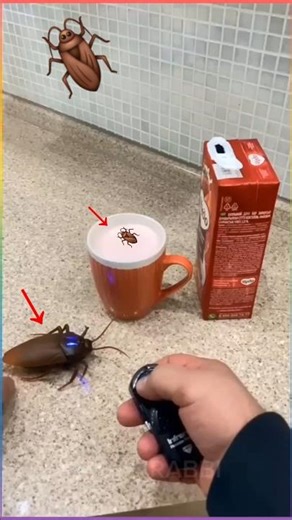 COCKROACH PRANK GONE WRONG! 😱 #funny #prank #shortvideos #amazingfacts #viral