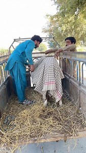 Rakshay Nay Marya Diya😂 | Ahmad Rajput 8