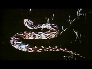 Beakman's World [1992] S2 E25 | Snakes, Beakmania & Seasons