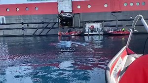 What a day in Antarctica! Watch 10 seconds for a surprise😄🐋 Video by MS Fram guest: Dillon Vanderhooft | Hurtigruten