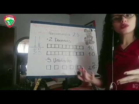 Representación en el ábaco y base 10 grado Primero DBS