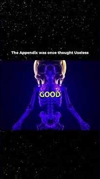 the Appendix helps your inmune systems