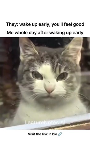 LectureNotes AI | Download LectureNotes AI and let it handle your notes while you handle surviving the morning. because they said waking up early boosts... | Instagram