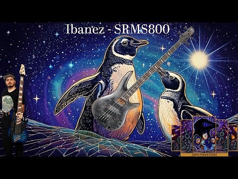 Ibanez - SRMS800 - Bass Review!!!