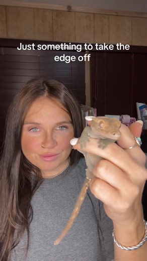 How may reptiles do you have?? I have 5! #reptile #reptiles #reptilekeeper #reptilesoftiktok #reptilemom