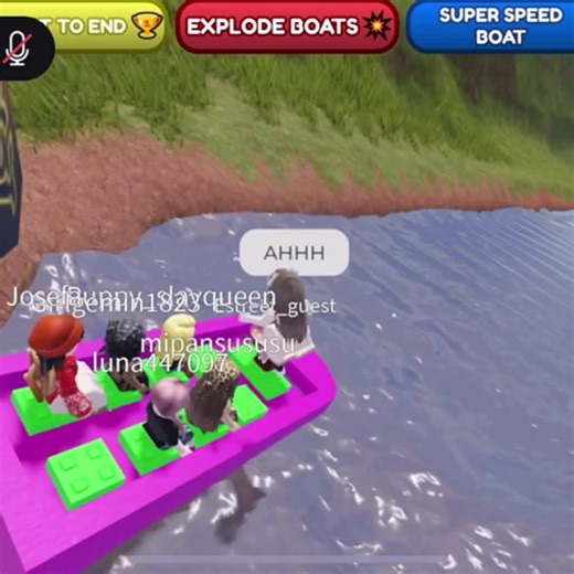 Exploring the Fun of the Broken Game 'Bote Ried'