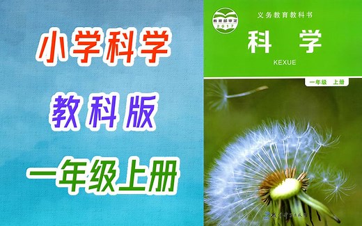 小学科学 教科版 一年级上册 2021新版 教学视频 科学1年级上册