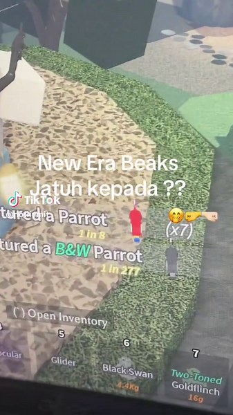 Keyless Beaks dalam Game Roblox