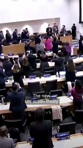 4.4K views · 101 reactions | Big hopes for high seas  | DW Environment | Facebook