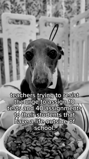 why do teachers love giving out homework and tests #fyp #foryou #schoolmemes #teacher #floptok