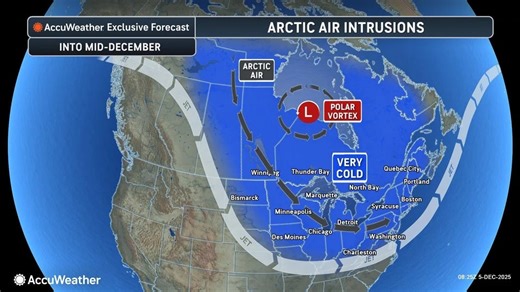 Polar vortex's Arctic blast to reach Florida. See Jacksonville impacts
