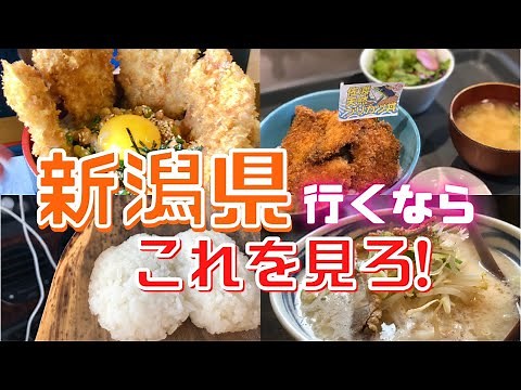 絶品旅【新潟県グルメ】ご当地グルメ！米！酒！新潟は日本の原点だ🌾飯テロ動画