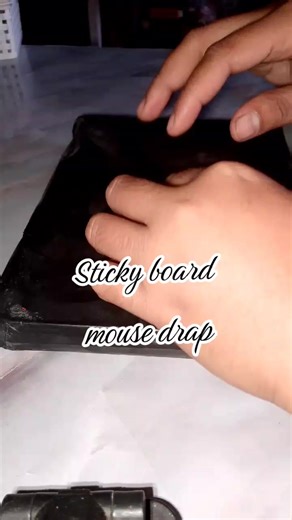Sticky Board Mouse Trap: Effective Pest Control Solution