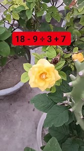 67K views · 1K reactions | Math Test Solution serial no | Learn And Solve | Facebook