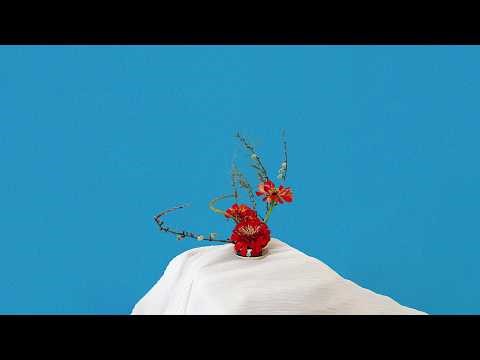 set after san valentín x carli ft hana pop flowers