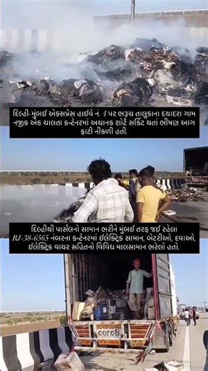 દિલ્હી-મુંબઈ એક્સપ્રેસ હાઈવે પર ભરૂચના દયાદરા નજીક ચાલતા કન્ટેનરમાં અચાનક શોર્ટ સર્કિટ થતાં ભીષણ આગ