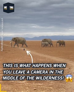 This is what happens when you leave a camera in the middle of the wilderness! 🤩 instagram.com/yarinklein_wild_photography | Things You Don't Know
