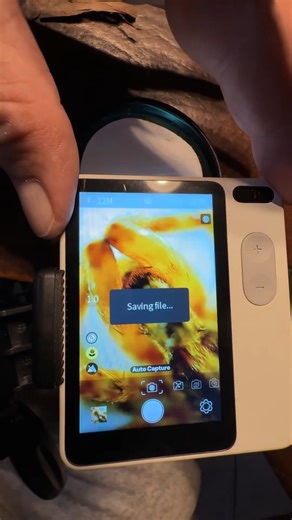 Littpopo_official on Instagram: "Spotted a tiny creature on your outdoor adventure? Don’t miss it! Mount your MicroCam X1 on a tripod and let the microscope mode + timer do the magic — no shaky hands, just crisp, up-close shots. Add a touch of color tuning, and suddenly that little spider looks wildly amazing. Perfect for curious kids and nature lovers alike. 📸：Armando Rivera #littpopo #MicrocamX1 #microscope #camera #nature #macro #naturelover #macrophotography #outdoor #adventuretravel #micro