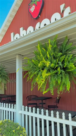 5K views · 14 reactions | 𢡄 LAST BLUEBERRY FEST WEEKEND! 𢡄 Don’t...