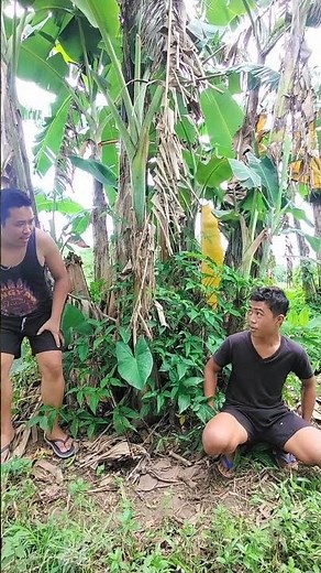 Malibang #funny #comedy