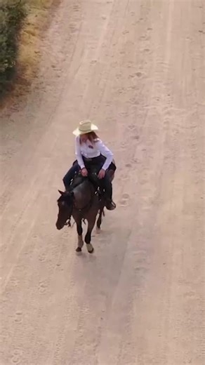 Managing Off-The-Track Thoroughbred Speed: Expert Advice