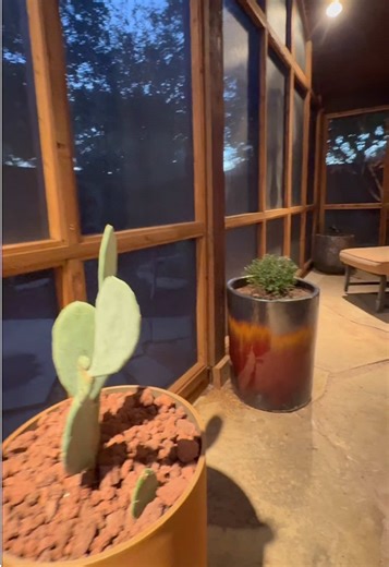 Mantén a raya insectos con un patio techado