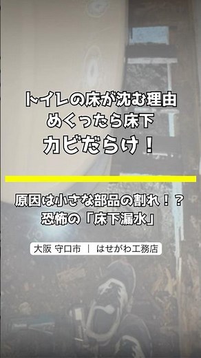 トイレの床が沈む原因はカビと漏水！床下を開けたら衝撃の状態だった