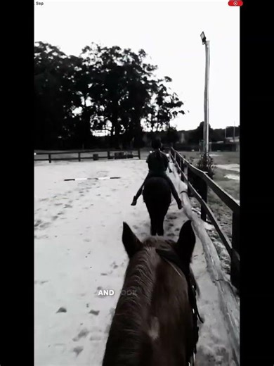 Teenage pony’s and horses❤️#horse #equestrianjourney #equestrian