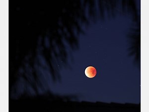 Full Pink Supermoon: How To See April's Bright Orb In NJ